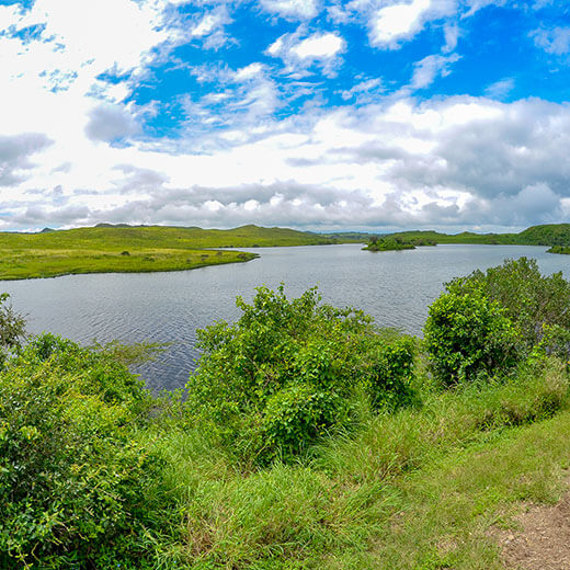 Arusha Nationalpark